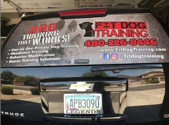 Vehicle Window Perforated Vinyl for Fit Dog