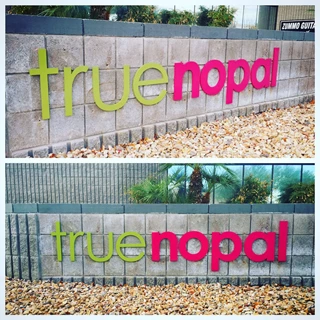 Wall sign for True Nopal in Scottsdale AZ